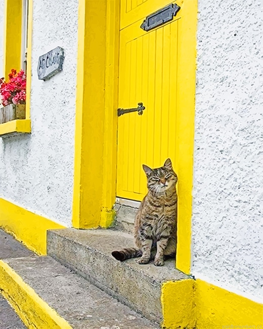 Cute Kitty Yellow Door Animals Painting By Numbers.png