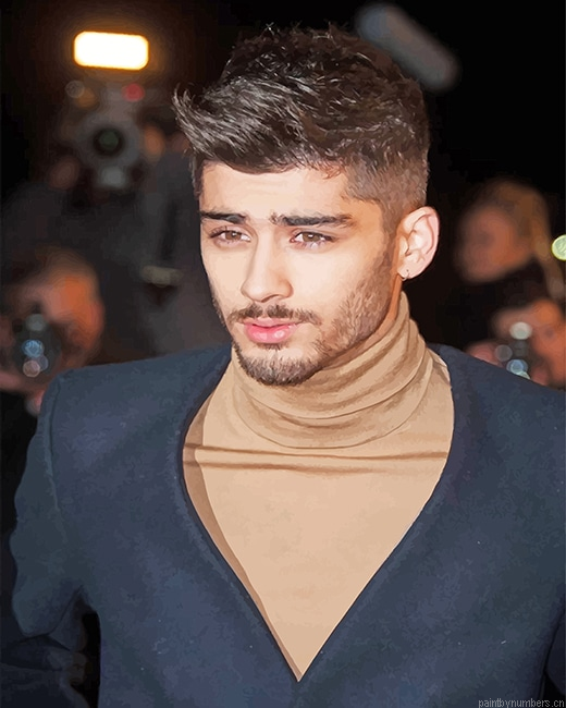 Cutie Zayn Malik Singers Painting By Numberss.png