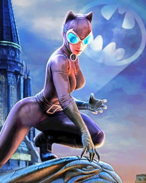 Dc Universe Catwoman Painting By Numberss.png