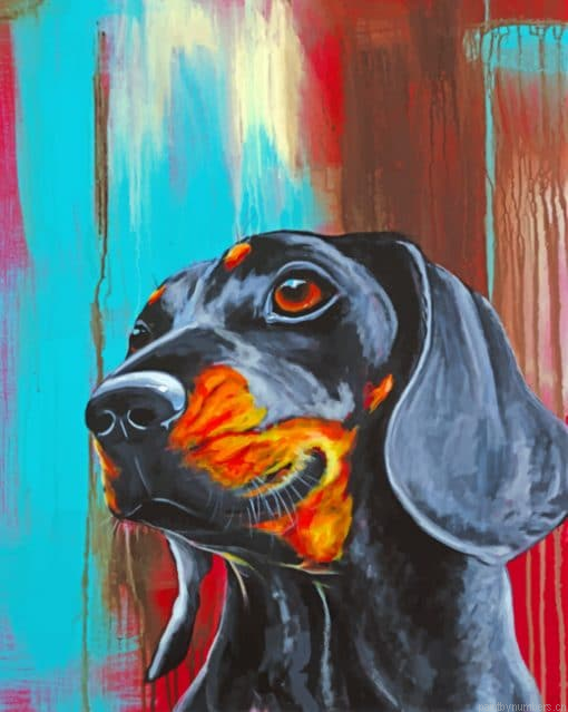 Dachshund Dog Painting By Numberss.png