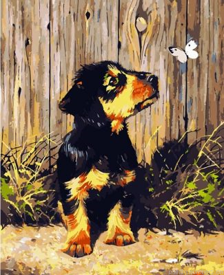 Dachshund Puppy And Butterfly Painting By Numberss.png