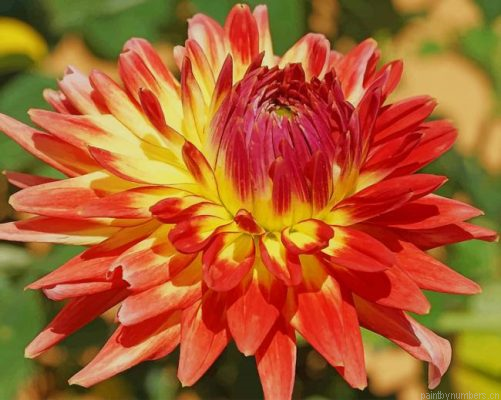 Dahlia Flower Painting By Numbers.png