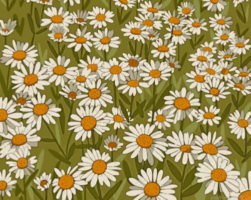 Daisy Field Illustration Painting By Numbers.png