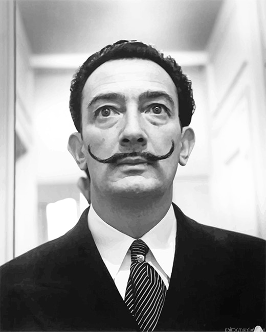 Dali Black And White Painting By Numberss.png