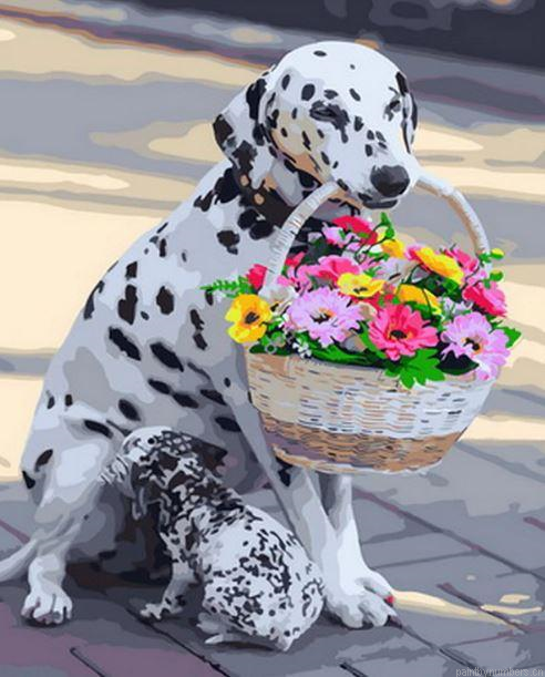 Dalmatian Dog With Flowers Basket Painting By Numberss.png