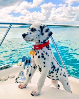 Dalmatian On Boat Painting By Numberss.png