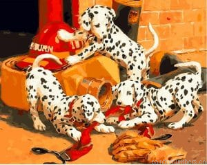Dalmatian Dogs New Painting By Numberss.png