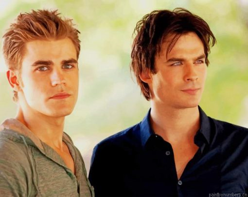 Damon Stefan Vampire Diaries Painting By Numbers.png