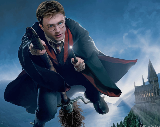 Daniel Radcliffe In Harry Potter Movie Painting By Numberss.png