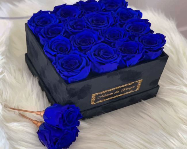 Dark Blue Roses Painting By Numberss.png