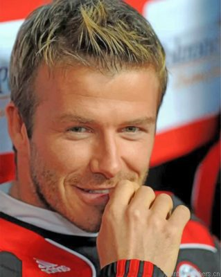 David Beckham Football Player Painting By Numbers.png