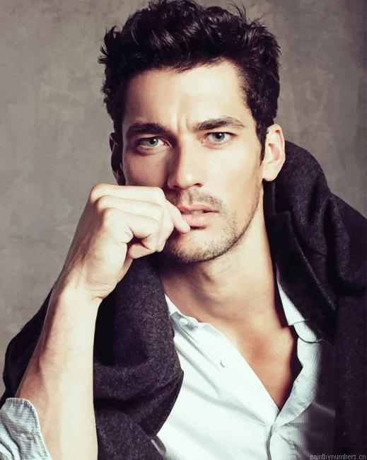 David Gandy British Model Painting By Numberss.png
