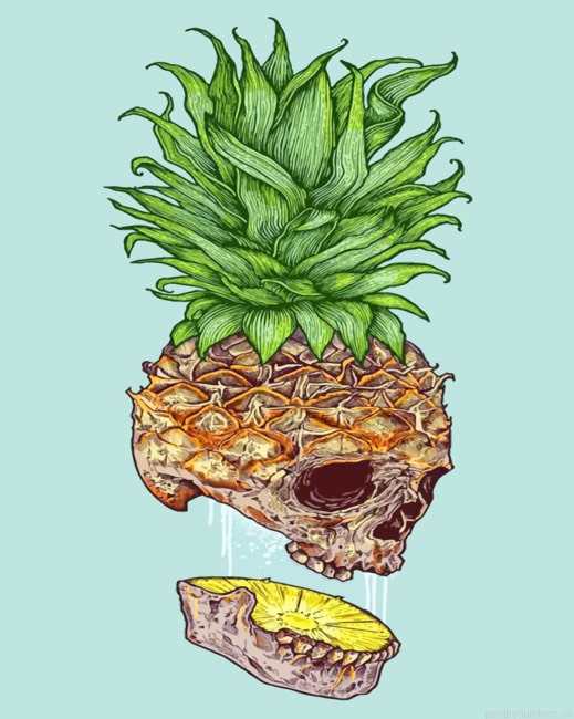 Dead Pineapple Painting By Numberss.png