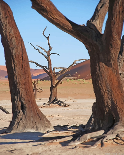 Dead Tree Desert Painting By Numberss.png