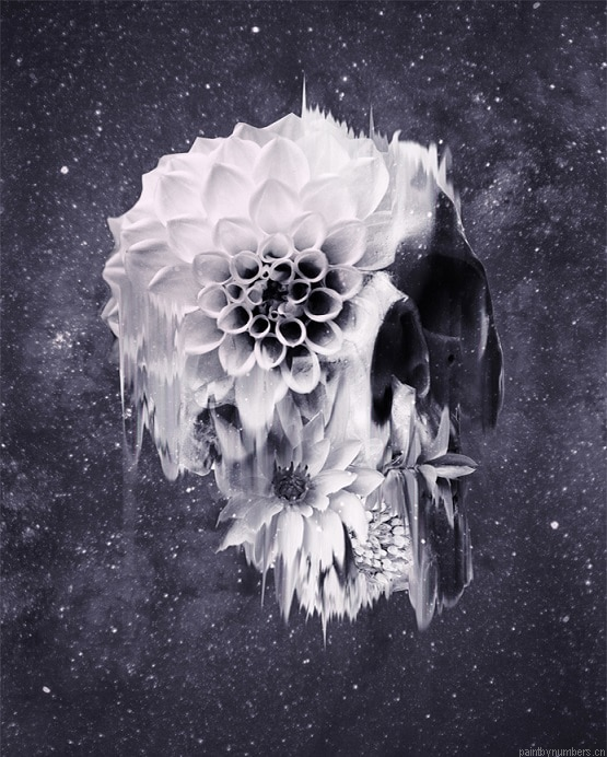 Decay Skull Abstracts Painting By Numbers.png