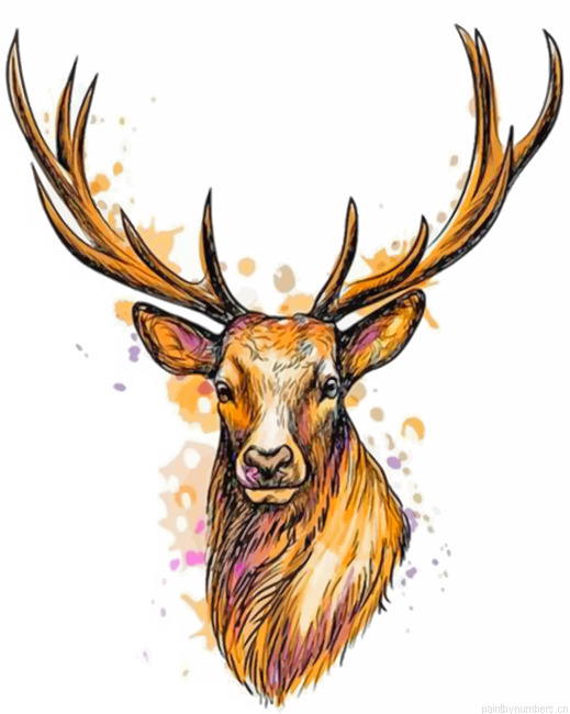 Deer Head Painting By Numbers.png