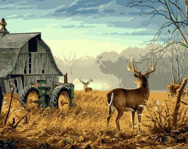 Deer On Farm Painting By Numberss.png