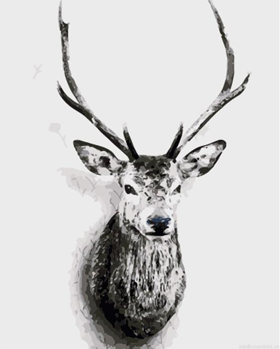 Deer Portrait Animals Painting By Numbers.png