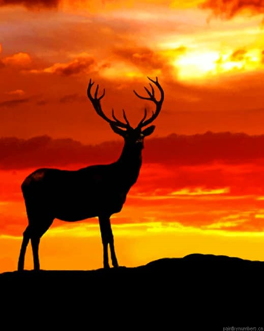 Deer Silhouette At Sunset Animals Painting By Numberss.png