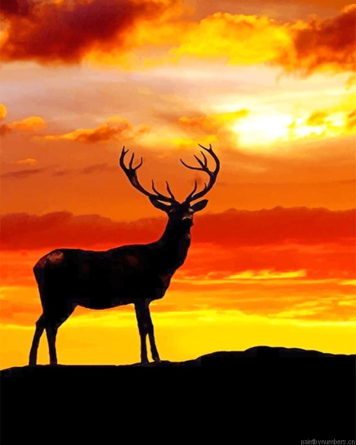 Deer Sunset Silhouette Animals Painting By Numberss.png