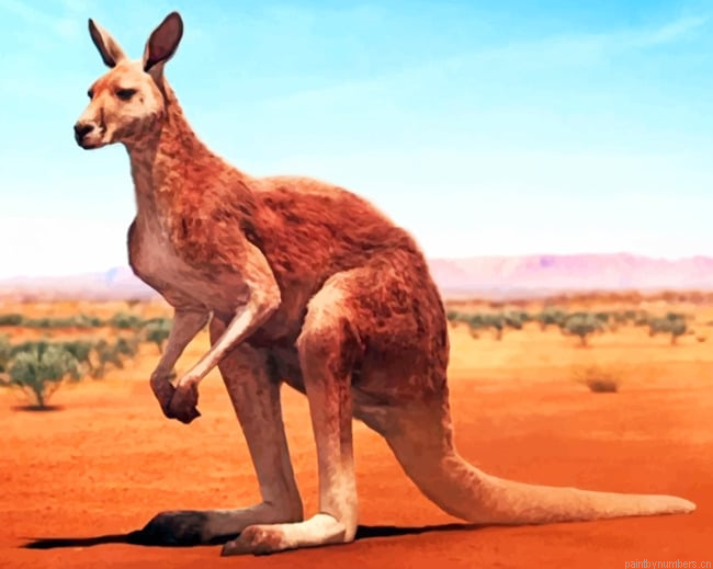 Desert Kangaroo Animals Painting By Numberss.png