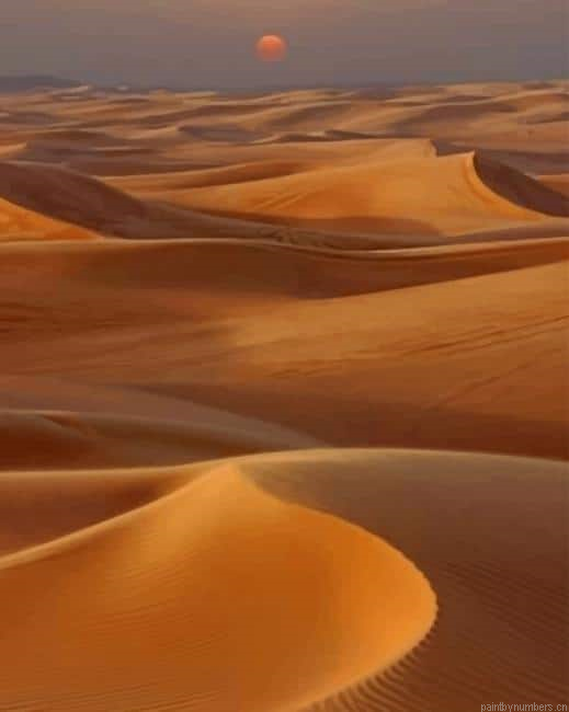 Desert Landscape Painting By Numberss.png