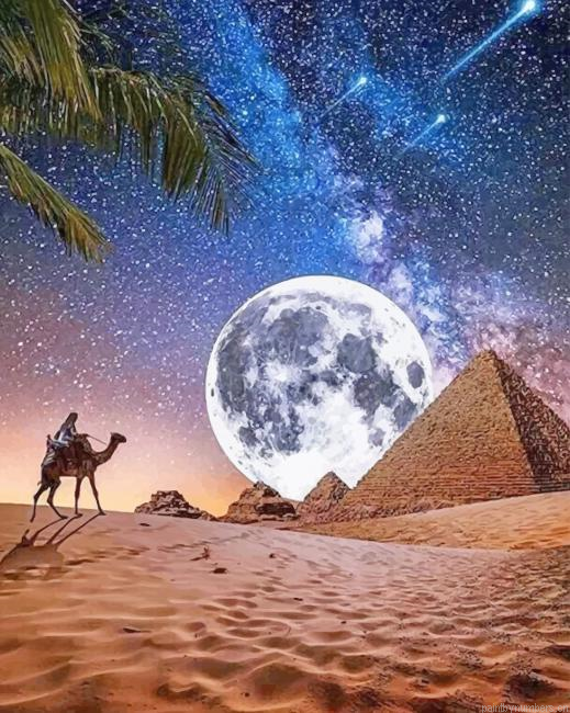 Desert Moon Landscapes Painting By Numberss.png