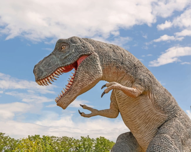 Dinosaur Statue Animals Painting By Numberss.png
