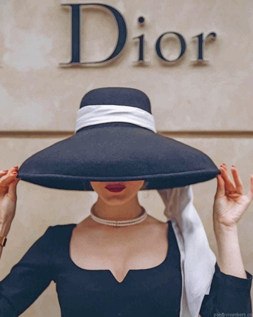 Dior Woman Painting By Numbers.png