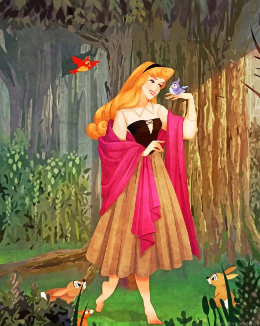 Disney Princess Aurora Animations Painting By Numbers.png