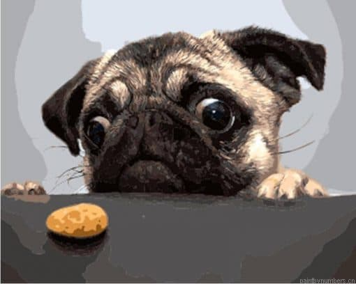 Dog And Cookie Painting By Numbers.png