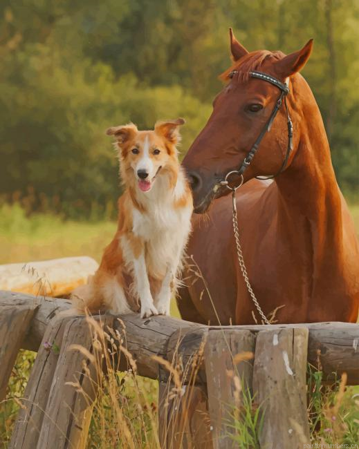 Dog And Horse Animals Painting By Numberss.png