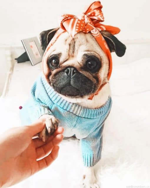 Dog Girly Pug Painting By Numbers.png