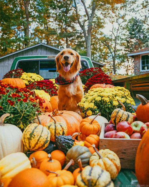Dog Halloween Pumpkin Animals Painting By Numberss.png