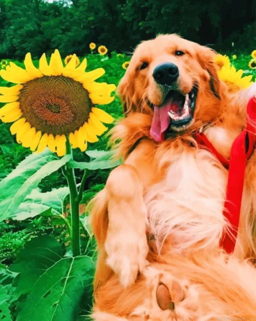 Dog In Sunflowers Field Animals Painting By Numberss.png