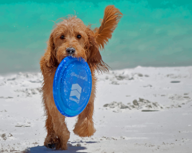 Dog Playing Fetch Animals Painting By Numberss.png