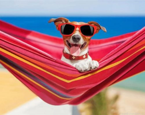 Dog Wearing Sunglasses Painting By Numbers.png