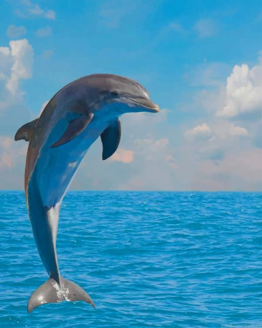 Dolphin Animal Painting By Numberss.png