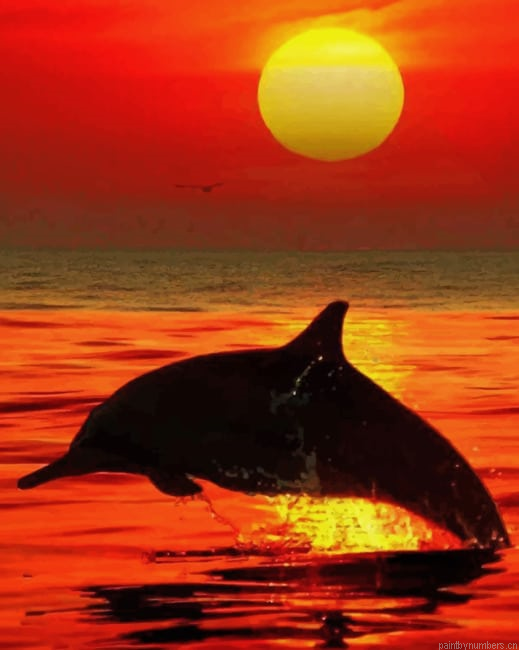 Dolphin At Sunset Silhouette Painting By Numberss.png