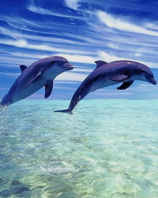 Dolphin Couple Animals Painting By Numberss.png
