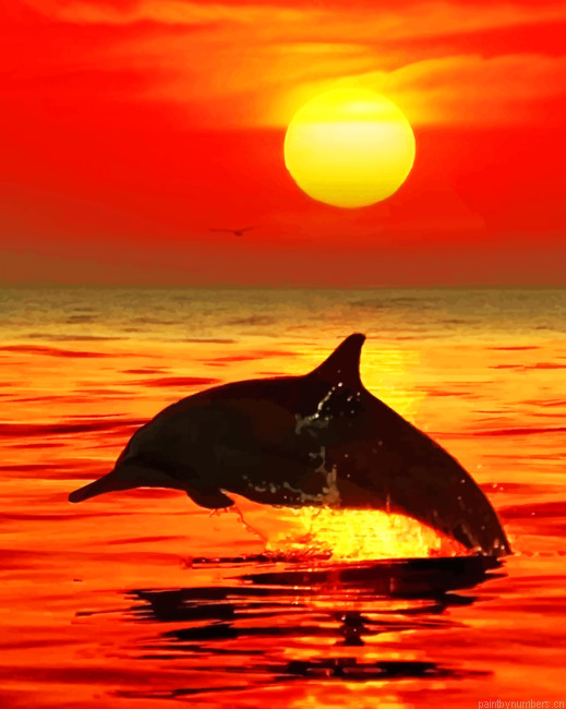 Dolphin Jumping Silhouette Animals Painting By Numberss.png