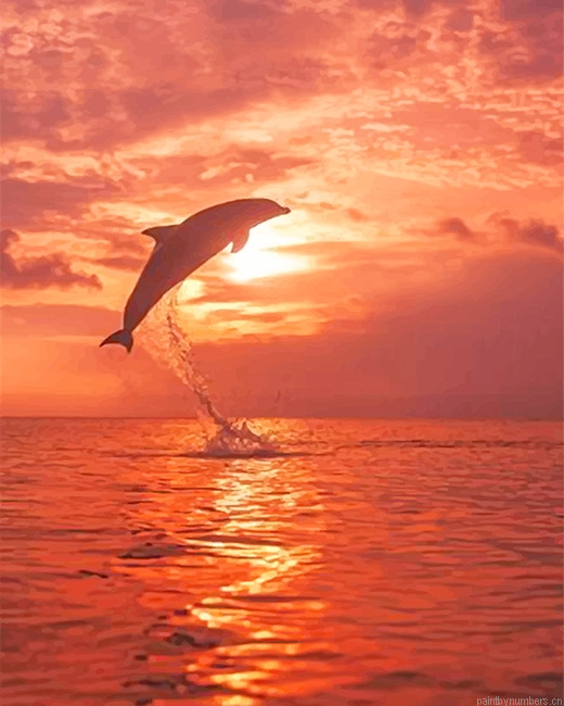 Dolphin Sunset Beach Animals Painting By Numberss.png