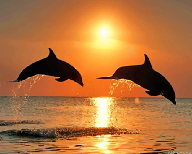 Dolphins At Sunset Silhouette Painting By Numberss.png