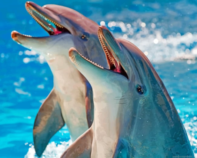 Dolphins In The Ocean Animals Painting By Numbers.png
