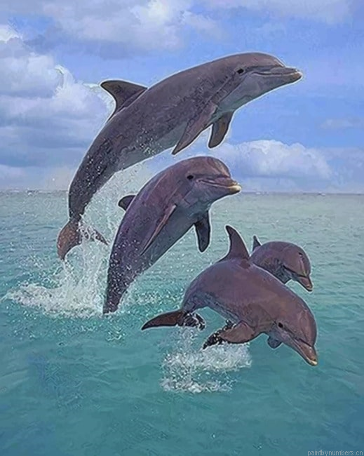 Dolphins Jumping Animals Painting By Numberss.png