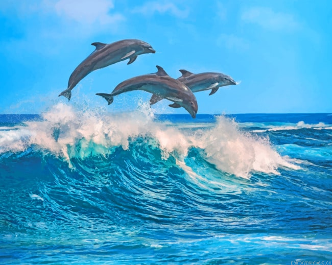 Dolphins Jumping In The Ocean Animals Painting By Numberss.png