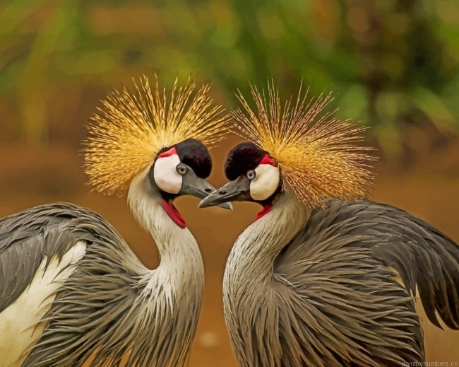 Double Crane Birds Painting By Numberss.png