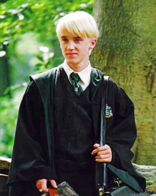 Draco Malfoy From Harry Potter Painting By Numberss.png