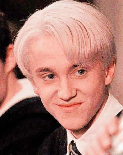Draco Malfoy Harry Potter Painting By Numberss.png