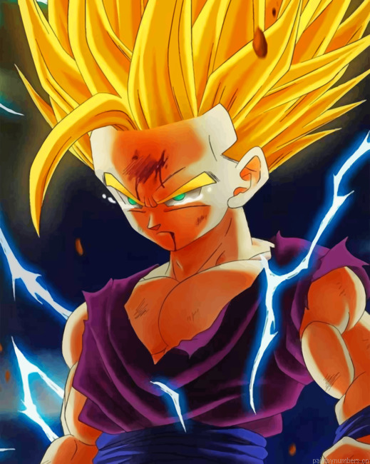 Dragon Ball Character Painting By Numberss.png